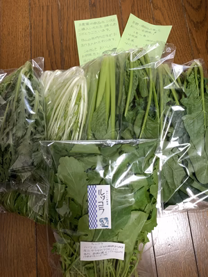 みんなの投稿の画像