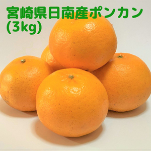 【宮崎県産】旬のはしり！芳香高い「日南ポンカン」(3kg)