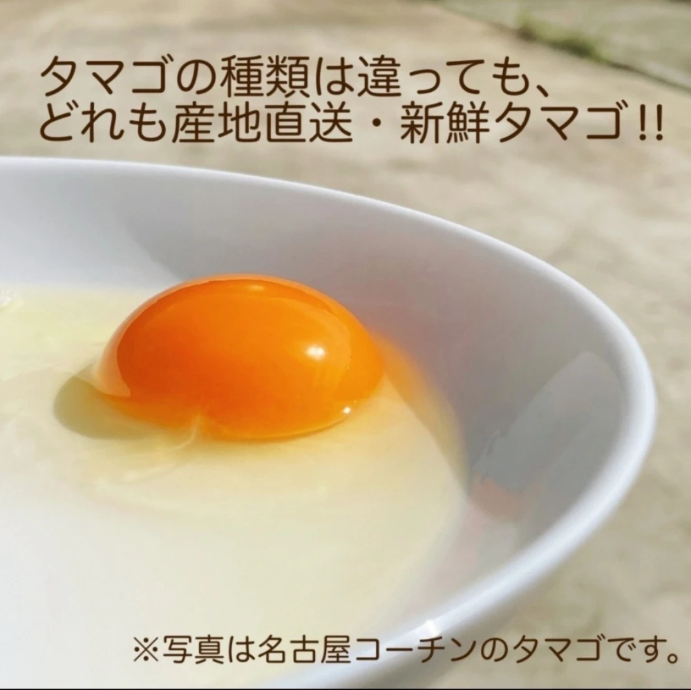 【7周年福袋】3種MIXタマゴ×40個！