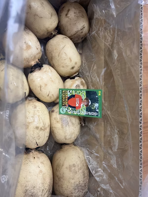 みんなの投稿の画像