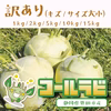 【訳あり】ヨーロッパ野菜『コールラビ』セット