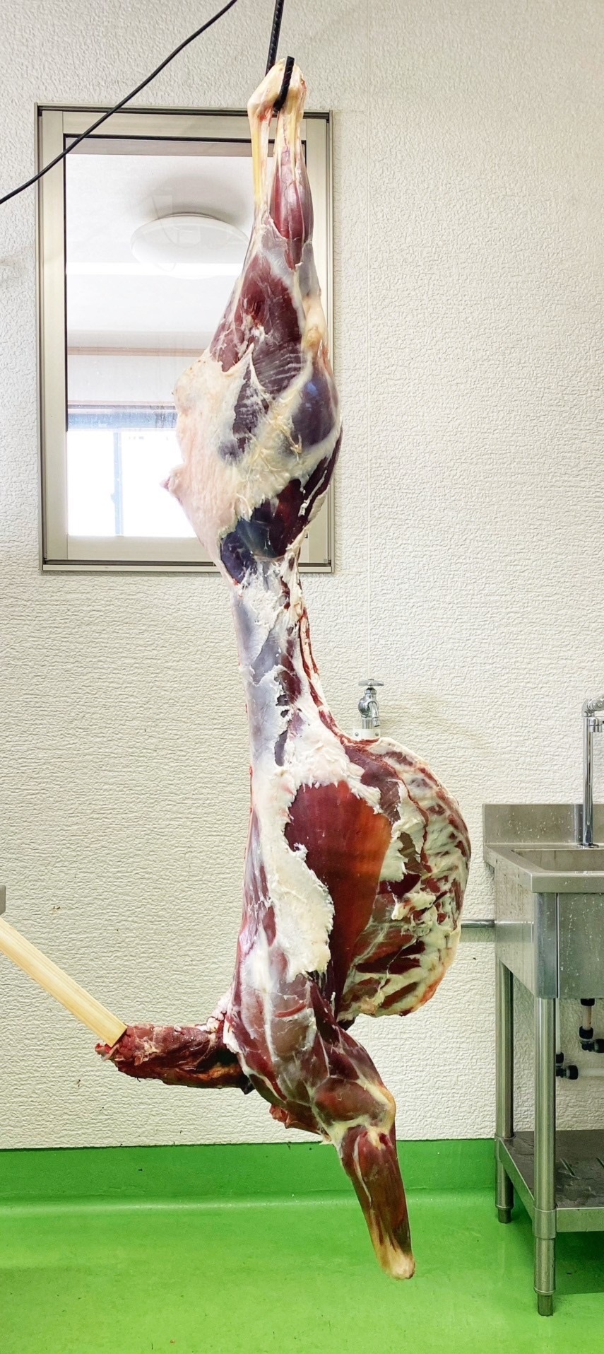 遠野鹿肉【熟成】半頭買い 8kg｜鹿肉の商品詳細｜ポケットマルシェ