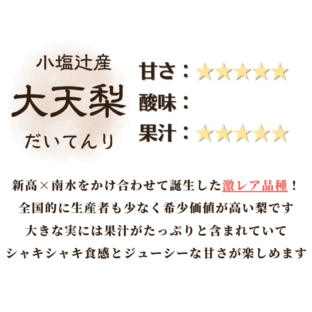 小塩辻産「加賀梨」サイズいろいろ！家庭用 大天梨｜果物の商品詳細