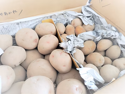 みんなの投稿の画像