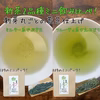 【送料無料】季節の手土産にも！1煎ミニパック5ヶ　令和7年新茶２品種飲み比べ！
