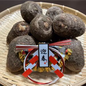 ⭐️お正月用 発送期間限定⭐️掘りたて❗愛媛産 純白の里芋