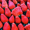 海と太陽のいちご　デラックス　静岡県産あきひめ
