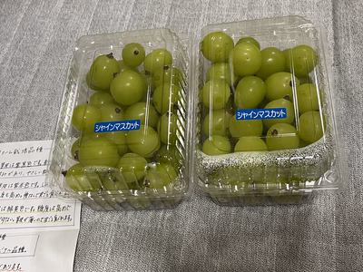 みんなの投稿の画像