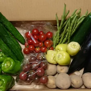 【月2回】希少な「自然栽培」の野菜ボックス