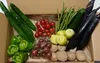 【月1回】希少な「自然栽培」の野菜ボックス【Ｌサイズ】