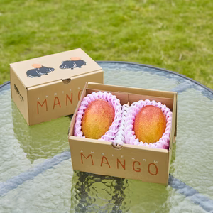 激うま！こだわりの完熟マンゴー（２個入り）