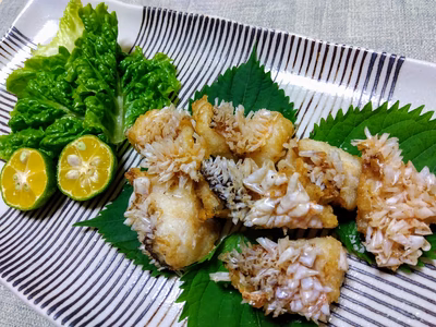 みんなの投稿の画像