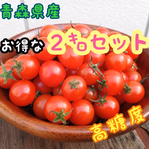 【お得な2㌔】濃厚薄皮ミニトマト　２ｋｇセット　お買い得　プチトマト