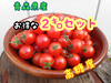 【お得な2㌔】濃厚薄皮ミニトマト　２ｋｇセット　お買い得　プチトマト