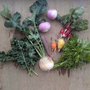 プチサイズ　冬の野菜セット〜60サイズ〜