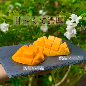 沖縄県産アップルマンゴー