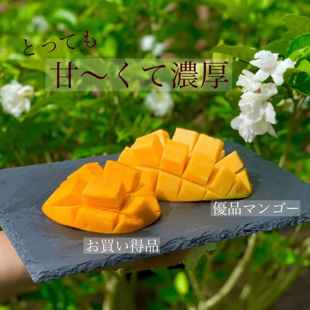 沖縄県産アップルマンゴー｜果物の商品詳細｜ポケットマルシェ｜産直(産地直送)通販 旬の果物・野菜・魚介をお取り寄せ