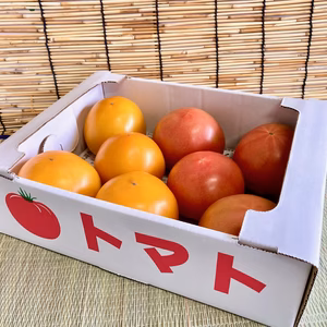 食卓を彩る！【2食のトマトセット】