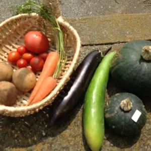 自然栽培　たっぷり夏野菜セット　7種、15品種程度