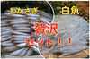 希少♢鮮魚♢霞ヶ浦産♢生白魚♢生わかさぎセット
