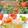 リンゴジュース 100％ 無添加  ギフト　持ち運び便利　りんごジュース
