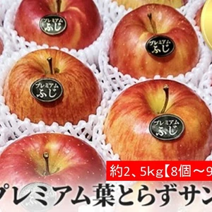 青森県産「大人気」蜜入りプレミアム葉とらずさんふじ自然味2,5kg糖度13%以上