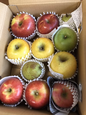 みんなの投稿の画像