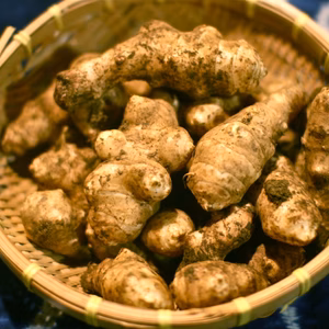 話題の《キクイモ》農薬不使用・無施肥栽培　1kg