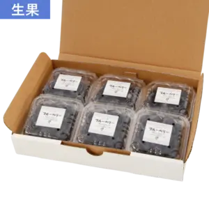 【予約販売】新鮮採れたてブルーベリー生果実6パックセット(山口県産)　　
