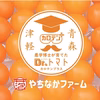 酸味の少ないミニトマト！【農学博士のDr.トマト】常温