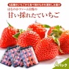 新鮮な朝摘みいちご　甘さと香りのハーモニー♪2種類or４種類いちご食べ比べセット