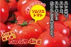 マイクロトマトのオマケ付き❗️【訳あり】ソムリエトマト５kg(20玉～38玉)