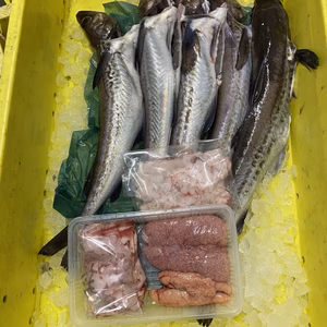 イチマン❗三平汁、煮付け❗冬場勝負魚❗スケトウタラ　4〜5尾　下処理します❗