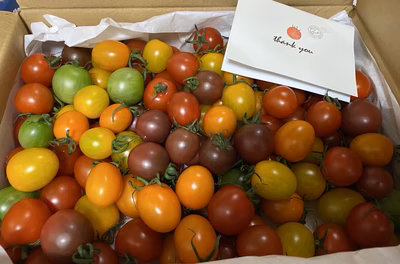 みんなの投稿の画像