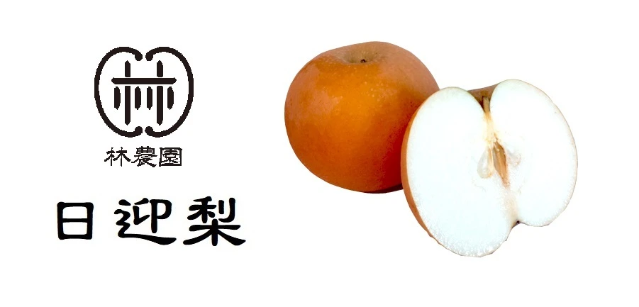 冬の梨・日迎梨（ギフト・林農園オリジナル品種）　約5kg(12〜7玉)