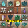いつもとちょっと違う野菜セット（12点・100サイズ）　＜農薬・化学肥料不使用＞
