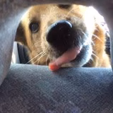 やました ともこ