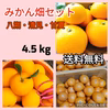 みかん畑セット『訳あり』　4.5 kg（箱込）送料無料