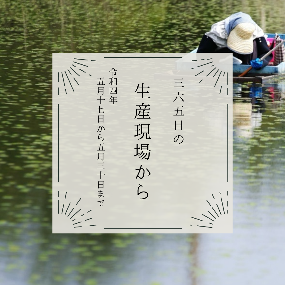 5月17 30日の生産現場から 芒種の37投稿 農家漁師から産地直送の通販 ポケットマルシェ