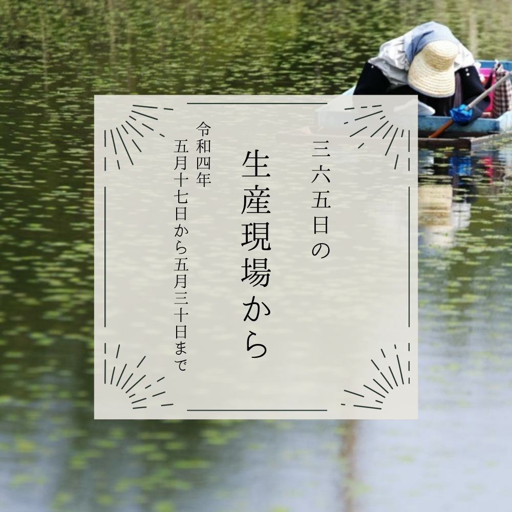 5月17〜30日の生産現場から、芒種の37投稿！ | 農家漁師から産地直送の ...