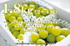 ８月下旬～シャインマスカット約1.8kg（3-4房）１箱・山梨県勝沼産