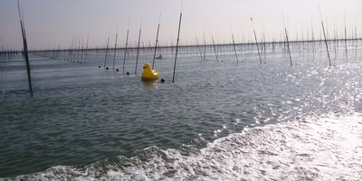 有明海に浮かぶ、海のカカシ・・・？