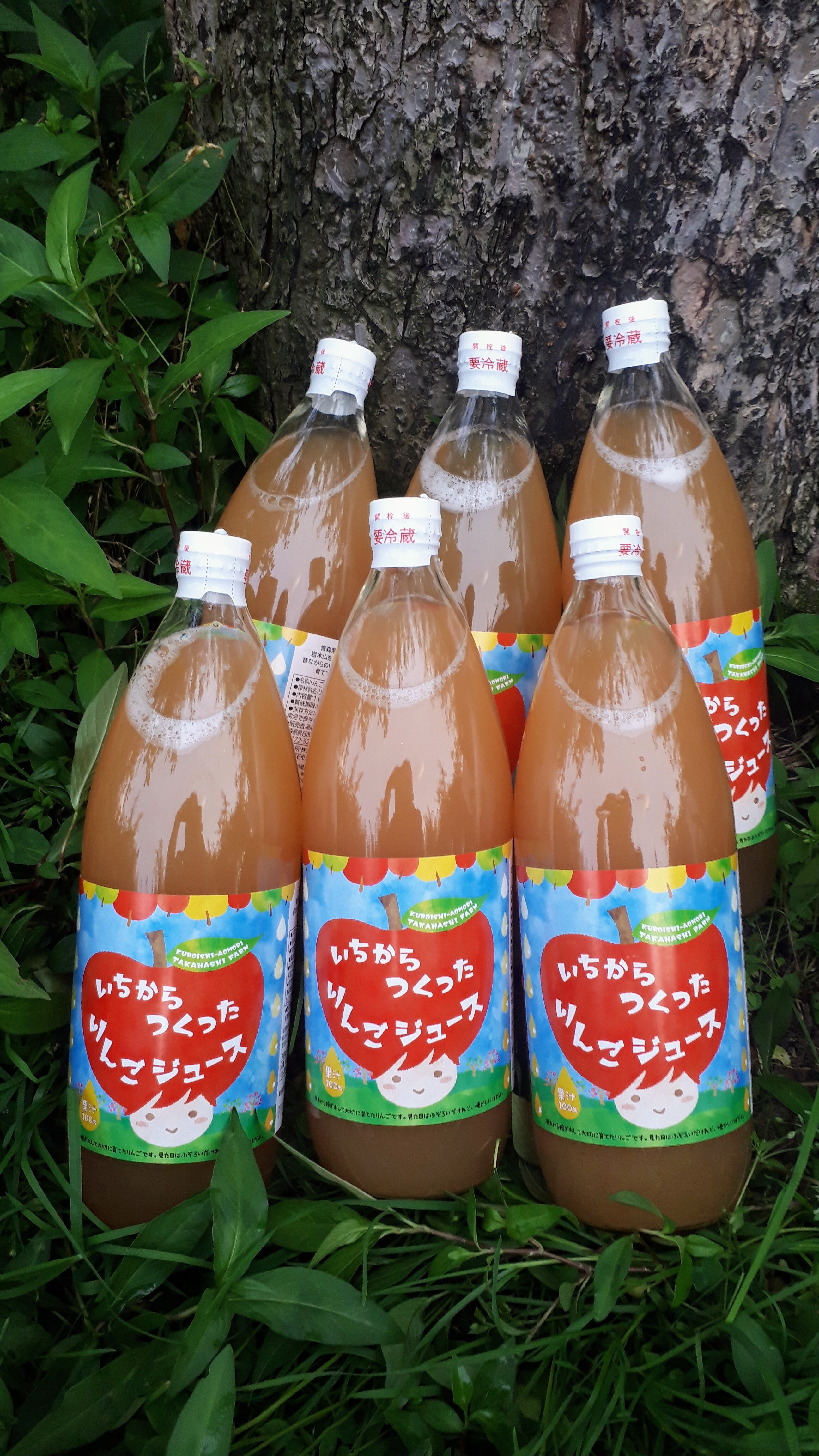 【農家直送】無添加　果汁100%りんごジュース6本セット