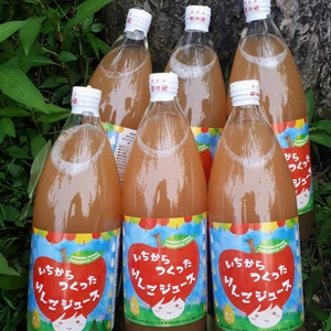 【2023福袋商品】リンゴジュース　無添加果汁100％(特別価格)