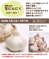 和歌山県産 生にんにく 500g（沖縄・北海道への配送不可）　