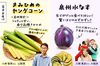 野菜が主役になる！「食卓彩る”春野菜”の定期便」
