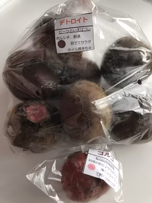 みんなの投稿の画像