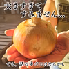 【超大玉】淡路島産たまねぎ 訳あり 特別栽培 兵庫県認証食品 レシピ付き！ 