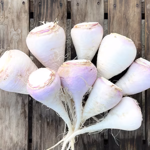 [漬物が絶品！ほか加熱料理に] 野沢菜のカブだけ