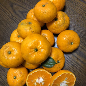 みかん【西南のひかり】